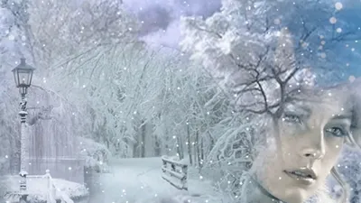 Зимние чудеса: снегопад в объективе фотоаппарата