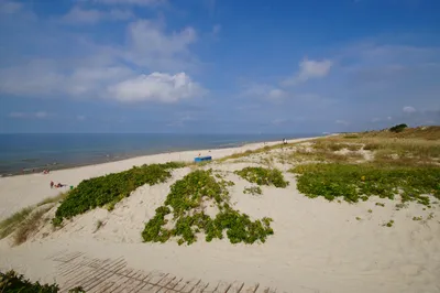 Фотоэкскурсия по Паланга пляжу: откройте для себя его прекрасные песчаные дюны
