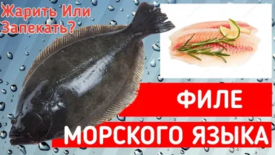 Пангасиус морской язык рыба - маленькое изображение, доступный для скачивания jpg