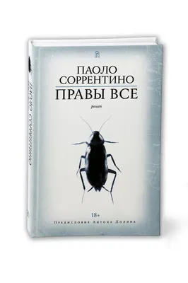 Картины Паоло Соррентино: фото на выбор