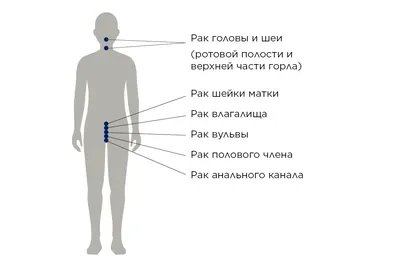 Фотографии Папилломавируса человека: Форматы на ваш выбор