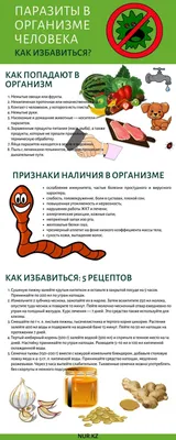 Лазурные воды микромира: Фото паразитов