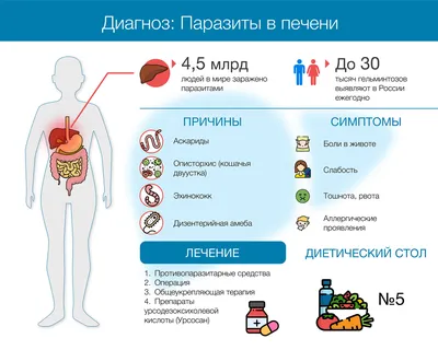 Изображения паразитов в печени человека: Тайны организма