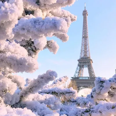 Париж в снегу  фото