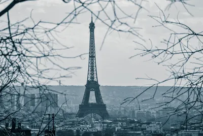 Зимний вечер в Париже: Великолепие города туристов