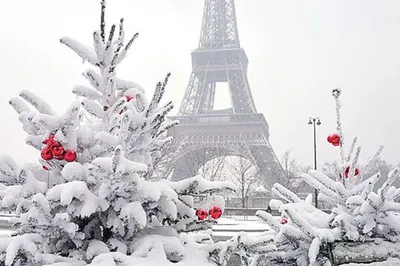Париж зимой: Фотографии, переносящие в атмосферу старого города