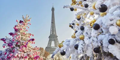 Ледяные узоры Парижа: Красота города в зимние дни