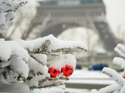 Париж в инеи: Зимние зарисовки города любви