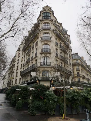 Парижский холод в объективе: Фотографии с зимней аурой