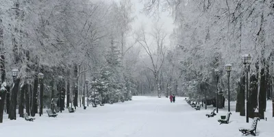 Зимние краски Парка Горького: различные размеры и форматы фотографий