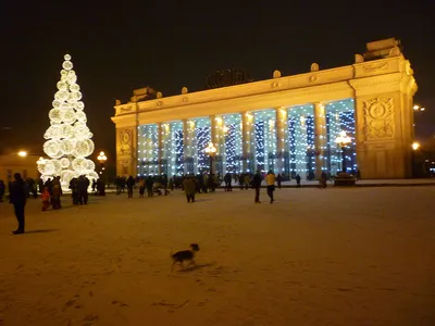 Зимний ландшафт Парка Горького: фото с возможностью выбора формата