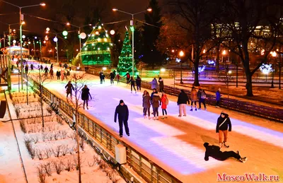 Зимние моменты Парка Горького: фотографии высокого качества для скачивания
