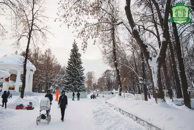 Парк Горького зимой: фотографии с различными вариантами скачивания