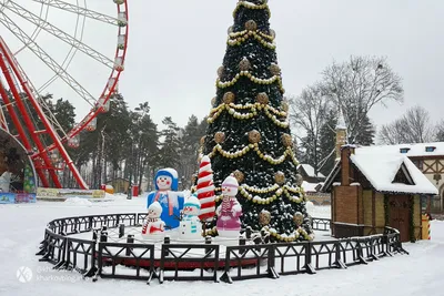 Зимние пейзажи Парка Горького: фотографии для скачивания