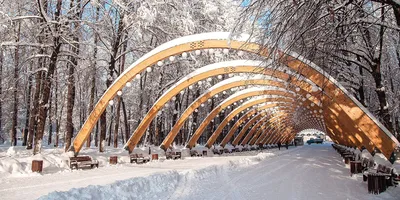 Зимняя красота Парка Горького: выберите формат и размер фото