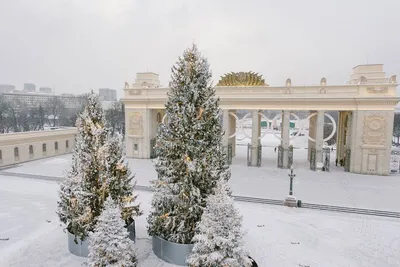 Прекрасные зимние виды в Парке Горького: фотография для скачивания