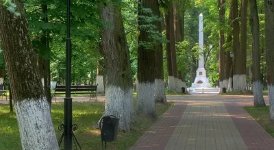 Фотографии птиц Калуги в высоком разрешении: Прикоснитесь к красоте природы