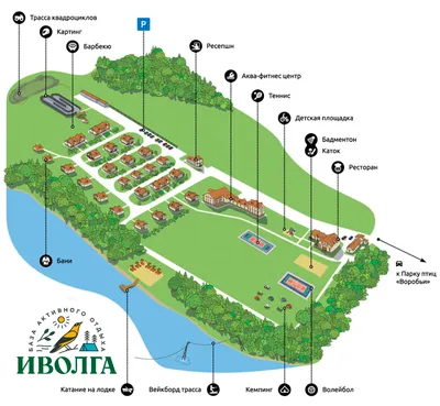 Волшебство перьев: изображение парка птиц воробьи