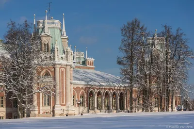 Морозные шедевры: Парк Царицыно на фото