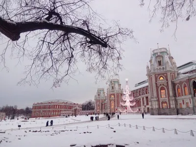 Зимний праздник в каждом кадре: Парк Царицыно