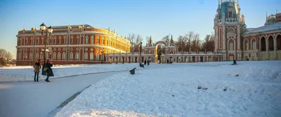 Фотографии зимы: Парк Царицыно во всей красе