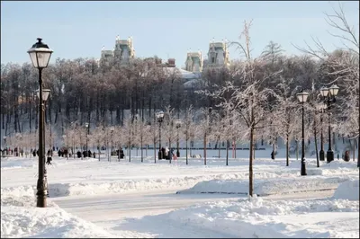 Зимние краски: Парк Царицыно на фото
