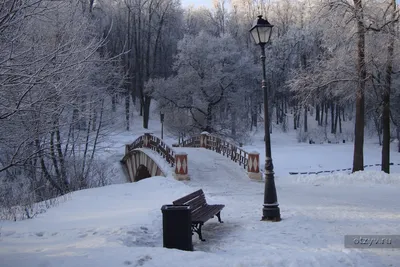 Фотоальбом зимнего волшебства: Парк Царицыно