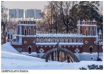 Искусство заснеженной природы: Парк Царицыно на фото