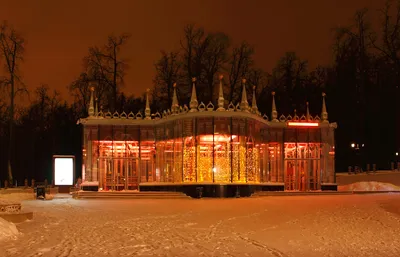 Фотографии зимнего покоя: Парк Царицыно