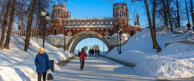 Зимние контрасты: Фотографии Парка Царицыно