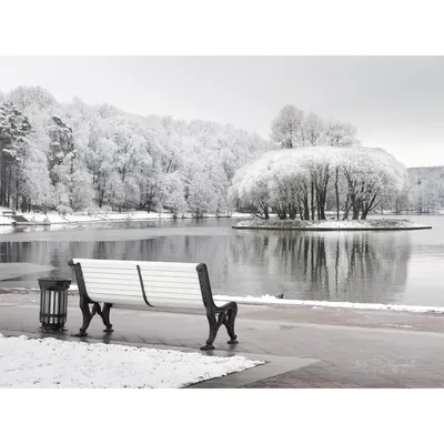 Парк царицыно зимой фотографии