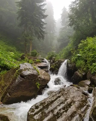 Загадочная красота природы: фото водопадов в Парке Менделиха