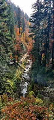 Забыться в красоте природы: фотографии из Парка Менделиха