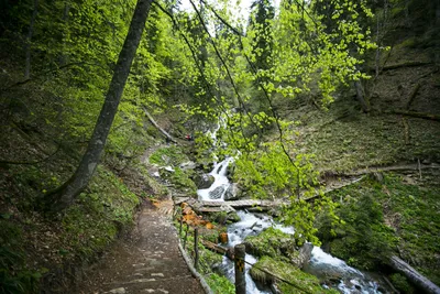 2024 год: фотографии водопадов Менделиха