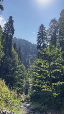 Фотка водопада Менделыха: удивительное природное изображение