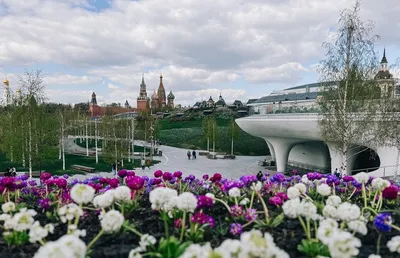 Фотографии, олицетворяющие зиму: Парк Зарядье зимой