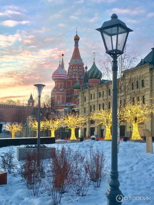 Искусство замороженных моментов: Фотографии Парка Зарядье