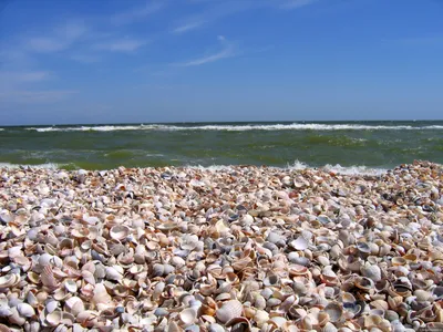 Рисунок парней в очках на море: искусство в каждой фотографии