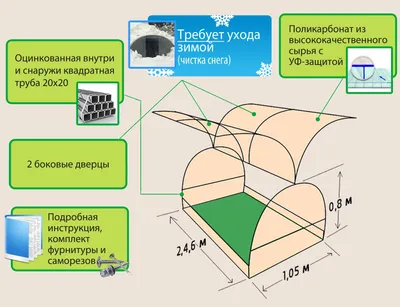 Изображение парника бабочки в невероятном разрешении