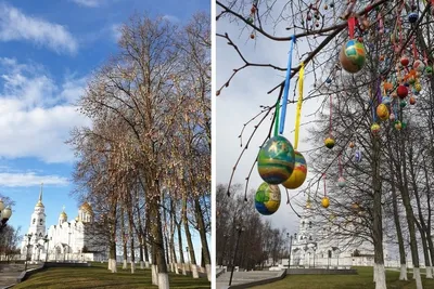 Фото Пасхального дерева: таинственная красота природы