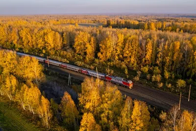 Совершенные детали: Изображения Поезда в формате JPG