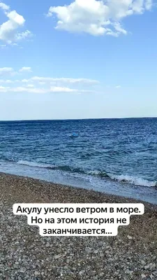 Красочные фотографии морского отдыха пацанов