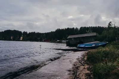 Изображение Павла Ильина, притягательное