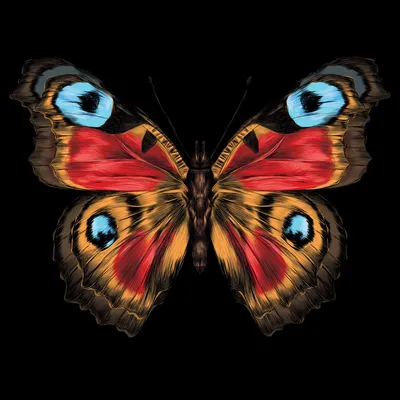 Уникальная картина павлиний глаз бабочки