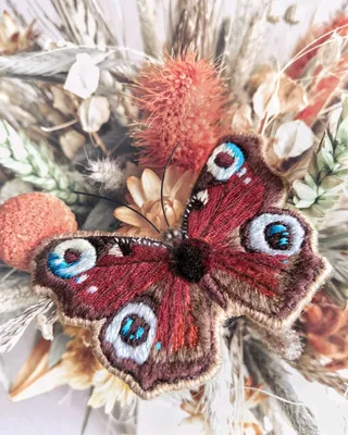 Изображение павлиний глаз бабочки в формате PNG для скачивания