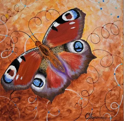 Красивое изображение павлиний глаз бабочки для украшения