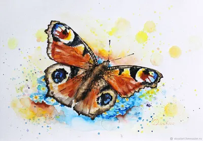 Чудесная фотография павлиний глаз бабочки для ознакомления