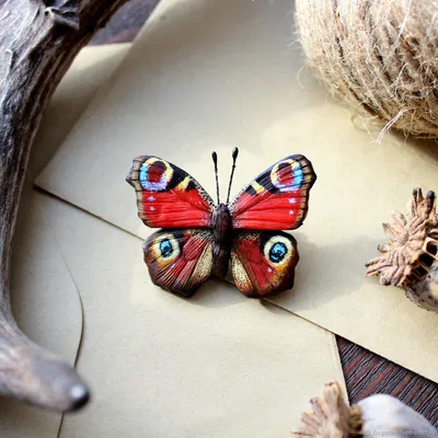 Чудесная фотография павлиний глаз бабочки для наслаждения