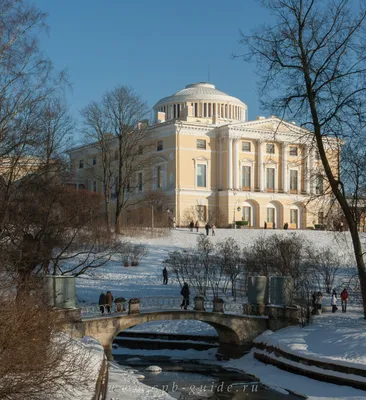 Павловск зимой: Великолепные заснеженные аллеи