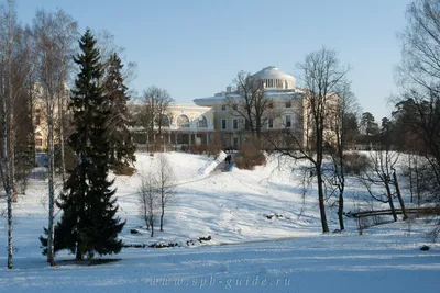 Фото Павловска зимой: Загадочная красота природы